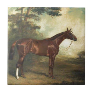 Carreau Cheval vintage Thoroughbred