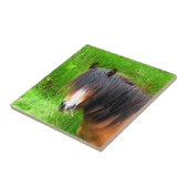 CARREAU CHEVAUX (Côté)