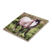 CARREAU CHEVAUX (Côté)