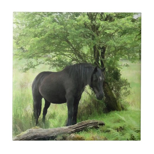 CARREAU CHEVAUX (Devant)