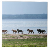 Carreau Chevaux (Devant)
