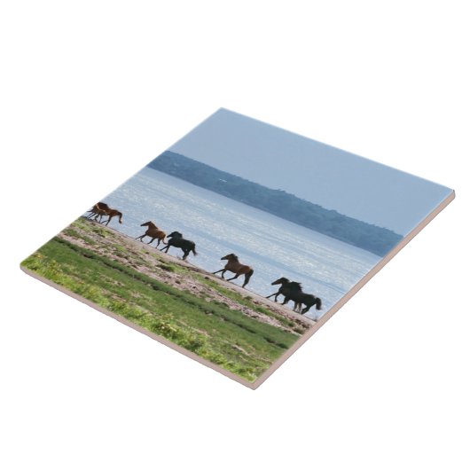 Carreau Chevaux (Côté)