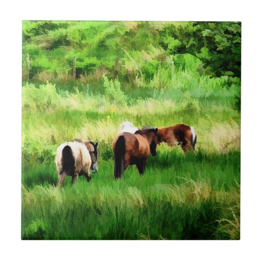 CARREAU CHEVAUX (Devant)