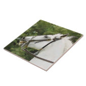 CARREAU CHEVAUX (Côté)