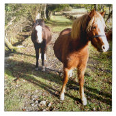 CARREAU CHEVAUX (Devant)