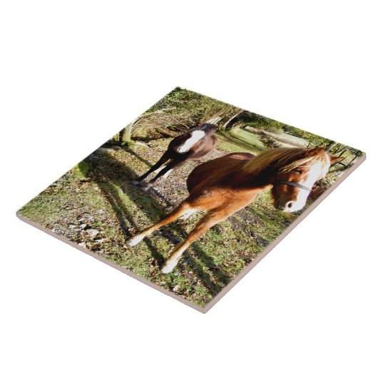 CARREAU CHEVAUX (Côté)