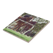 Carreau Chevaux Amish à la Pose de Hitching autour des Pom (Côté)