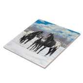 Carreau Chevaux Appaloosa Noir En Neige (Côté)