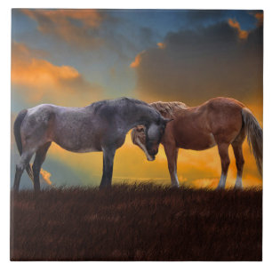 Carreau Chevaux Art Sunset Country Surreal