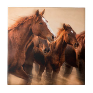 Carreau Chevaux au galop, flou et crinières au vent