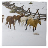 Carreau Chevaux courant dans la neige (Devant)