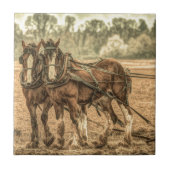 Carreau Chevaux de ferme primitifs de l'Ouest (Devant)