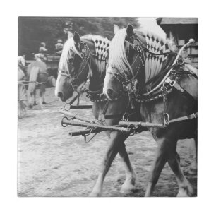 Carreau Chevaux en noir et blanc