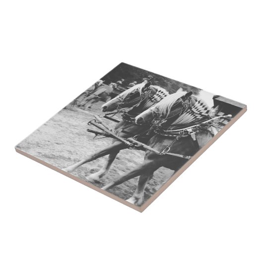 Carreau Chevaux en noir et blanc (Côté)