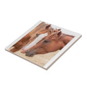 Carreau Chevaux étourdissant dans un pâturage (Côté)