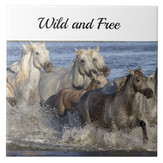 Carreau Chevaux galopant dans l'eau (Devant)