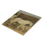 Carreau Chevaux gitans, c.1885-90 (huile sur la toile) (Côté)