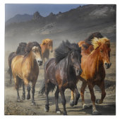 Carreau Chevaux sauvages (Devant)