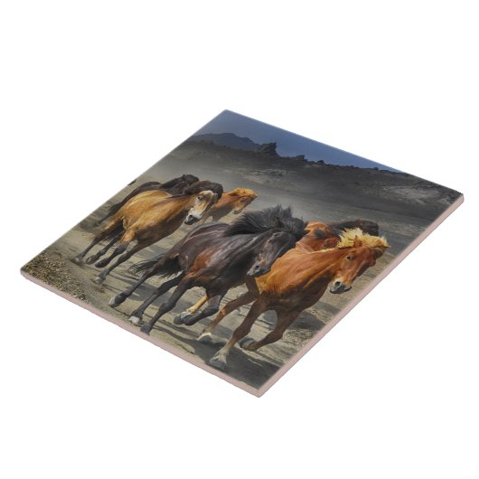 Carreau Chevaux sauvages (Côté)