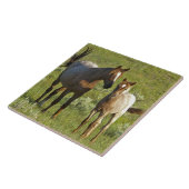 Carreau Chevaux sauvages Dakota du Nord (Côté)