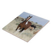 Carreau Chevaux sauvages, Montagnes des Steens (Côté)