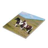 Carreau Chevaux sur le flanc de colline (Côté)
