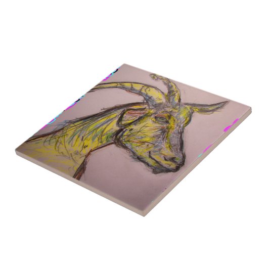 Carreau Chèvre (Côté)