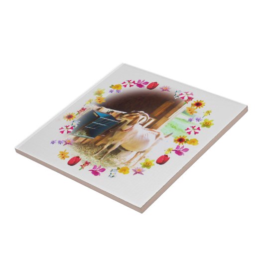 Carreau Chèvre à fleurs (Côté)