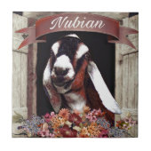 Carreau Chèvre de Nubian (Devant)