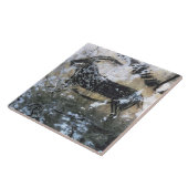 Carreau Chèvre ou chamois, peinture de roche dans la salle (Côté)