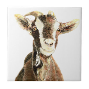 Carreau Chèvre Vieille Mignonne, Humour d'Animaux de Ferme