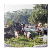 Carreau Chèvres (Devant)