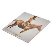 Carreau Cheyenne courageux, 1901 (litho de couleur) (Côté)