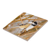 Carreau Chickadee au plafond noir - Photo originale (Côté)