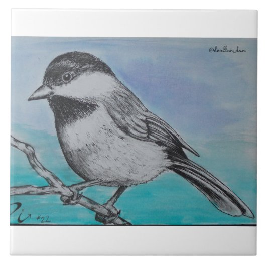 Carreau Chickadee couvert par noir (Devant)