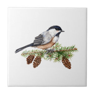 Carreau Chickadee d'hiver