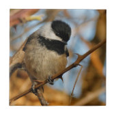 Carreau Chickadee Songbird, Joli Espérant (Devant)
