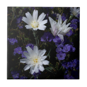 Carreau Chicory et fleurs sauvages de Phacelia
