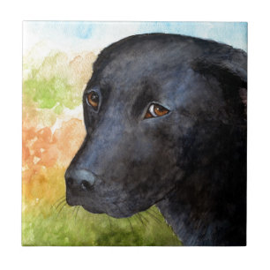 Carreau Chien 115 Noir Labrador