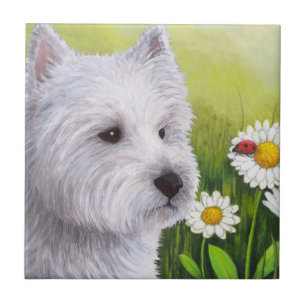 Carreau Chien 83 Westie