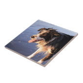 Carreau Chien à collie de frontière meilleur ami (Côté)