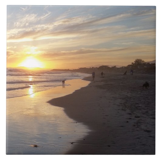 Carreau Chien à Sunset California Dreaming Tile (Devant)