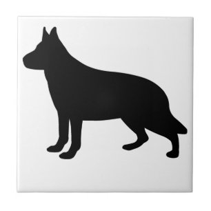 Carreau Chien alsacien