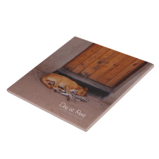 Carreau Chien au repos (Côté)