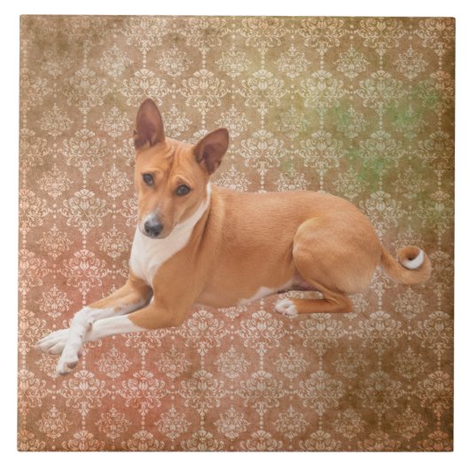 Carreau Chien Basenji (Devant)