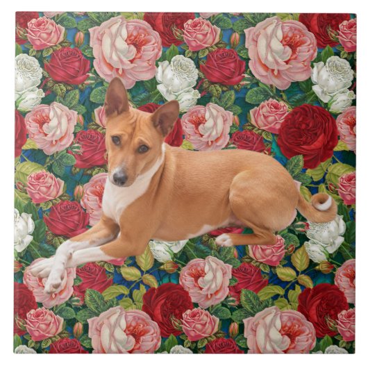 Carreau Chien Basenji (Devant)