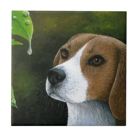 Carreau Chien beagle 116 (Devant)