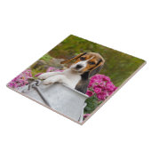 Carreau Chien Beagle mignon chiot dans une église de lait (Côté)