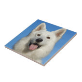 Carreau Chien berger suisse (Côté)