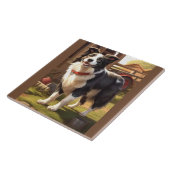 Carreau Chien Border Collie (Côté)